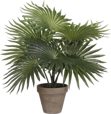 Image de Mica Decorations Palmiers Plante artificielle dans pot de fleurs Stan - H40 x Ø35 cm - Vert