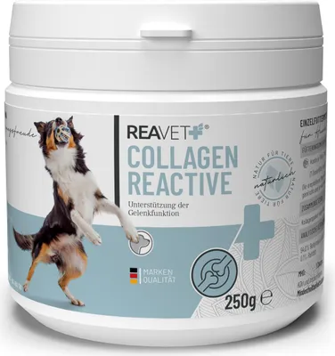 Produktbild von Collagen Reactive – Kollagenhydrolysat für Hunde (250 g Dose)