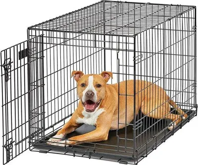 Productafbeelding van Famanu hondenkooi met enkele deur en scheidingswand - 92 cm, zwart