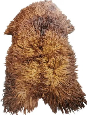 Produktbild von TOP Schaffell | 140cm | Echtes Lammfell |Teppich Deko | Ginger / Gold-Braun | Sitzauflage.Größe:100cm - 110cm,Haar-Länge:Lang & Gelockt 10-15cm