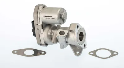 Immagine prodotto di Valvola AGR BORG WARNER 711022D