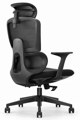 Immagine prodotto di Sedia da ufficio ergonomica con poggiatesta regolabile e schienale in rete