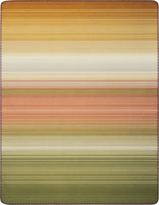 Produktbild von Biederlack Plaid mit Zierstich Young & Fancy Woodland Größe 150 x 200