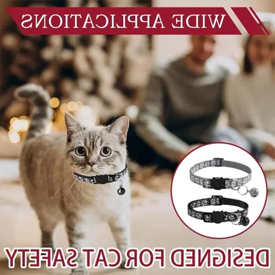 Verstellbares Katzenhalsband-Set von 2 mit Sicherheitsverschluss, geeignet für alle Katzenrassen und Gewichte