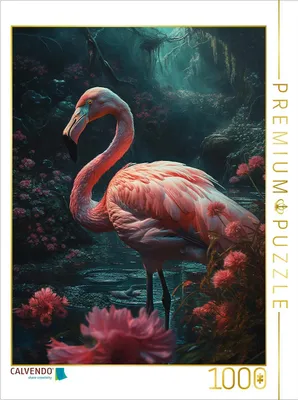 Produktbild von CALVENDO Puzzle Ein Motiv aus dem Kalender Fantastische Vogelwelt | 1000 Teile Lege-Größe 64x48cm Foto-Puzzle für glückliche Stunden