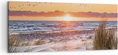 Produktbild von Bild auf Leinwand - Leinwandbild - Einteilig - Sonne Strand Vögel - 100x40cm - Wand Bild - Wanddeko - Wandbilder - Leinwanddruck - Bilder - Wanddekoration - Leinwand bilder - Wandbild - AB100x40-4727