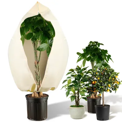 Produktbild von Winterschutz Kübelpflanzensack 100×180cm, 100g/㎡, Winterschutz für Pflanzen, Gartenvlies Abdeckvliesz
