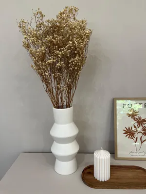 Produktbild von Gypsophila Schleierkraut konserviert 60-75cm für Vasen Trockenblumen Langlebig