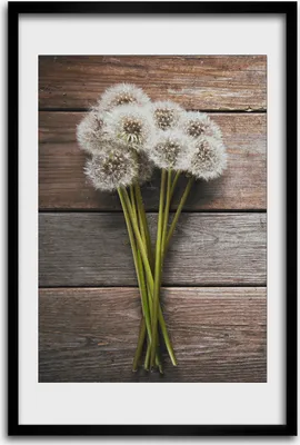 Produktbild von Bild - Bilderrahmen - 40 cm x 60 cm - MDF - Rahmen - Wandkunst - Ein Blumenstrauß von Dandelern