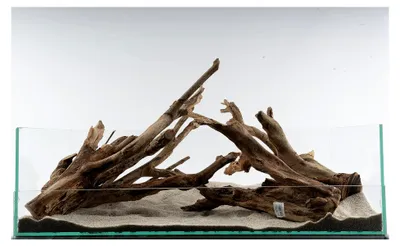 Produktbild von Talawa Aquarienholz, naturgetreu, 30-45 cm – zum Abnagen für Welse, bepflanzbar