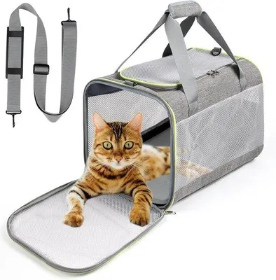 Produktbild von Famanu Transporttas für Katzen und kleine Hunde - Abnehmbares Plüschpad, faltbar, atmungsaktiv, 45 x 30 x 30 cm