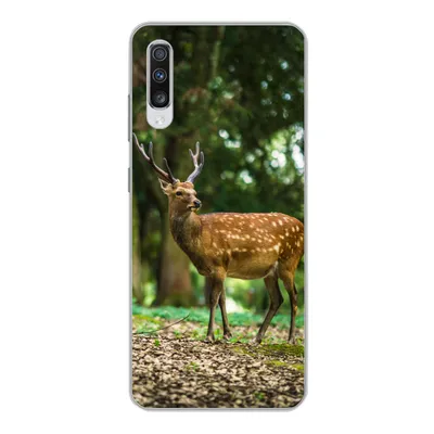 Produktbild von MuchoWow® Handyhülle Schutzhülle Hülle für Samsung Galaxy A70 Rotwild - Wald - Tier Silikon Softcase Handy Hülle - Schutzhaube