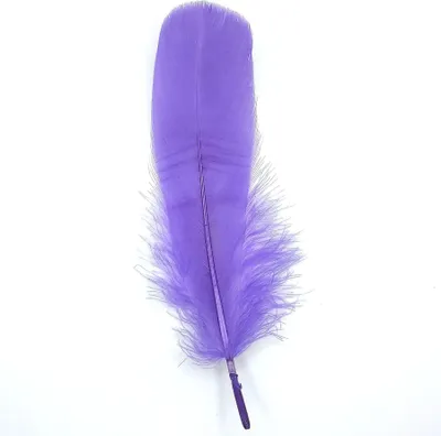Immagine prodotto di Piume Piume d'oca, circa 15-20 cm, 10 pezzi, viola lilla