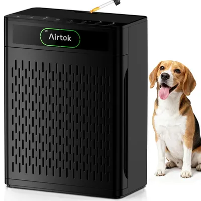 Image de Purificateur d'air - Filtre HEPA - Jusqu'à 172 m² - Préfiltre lavable - Capteur PM2,5 - Animaux, pollen et fumée - Mode nuit 20 dB
