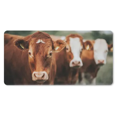 Produktbild von MuchoWow® Mauspad Mousepad Kühe - Gras - Zaun 60x30 cm - Mousepads - Maus Mat - Pad - Mausunterlage - Nachhaltig