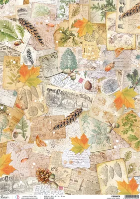 Produktbild von Motiv-Strohseide "Herbststimmung", DIN A3