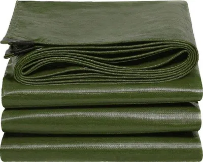 Productafbeelding van Waterdichte Tarpaulin 1.5 x 4 m voor Tuin en Kamperen