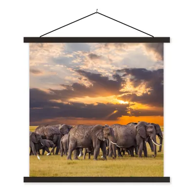 Produktbild von MuchoWow® Textilposter Elefant - Tiere - Gras - Sonnenuntergang - Natur 120x120 cm mit schwarzem Rahmen - Aufhängungsset