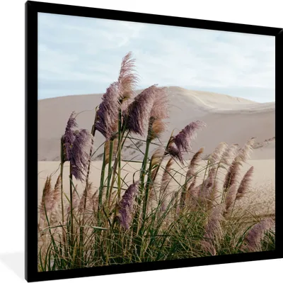 Produktbild von MuchoWow® Gerahmtes Poster Pampasgras - Sand - Pflanzen - Düne 40x40 cm - Poster mit Schwarzem Bilderrahmen Wandposter Rahmen Foto Bilder - Mit Rahmen - Wanddekoration Schlafzimmer