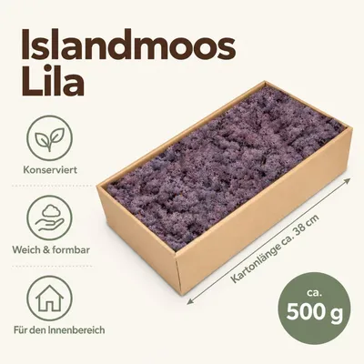 Produktbild von Islandmoos 500 g in über 30 Farben, konservierte Rentierflechte Deko Basteln, Farbe:Lila