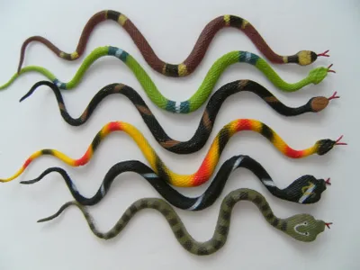Produktbild von Schlangen 6erSet 30 cm, Schlange Kobra Gummischlange Gummischlangen bunt Cobra Tiere Reptilien
