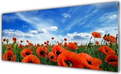 Produktbild von Acrylglasbilder 125x50 Wandbild Druck Wiese Mohnblumen Pflanzen