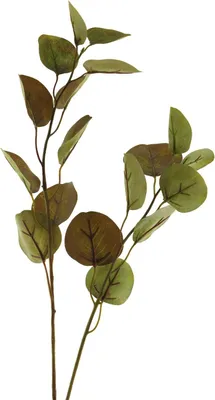 Produktbild von artplants.de Deko Zweig Eukalyptus AOSHAN, braun-grün, 80 cm - Eukalyptuszweig künstlich