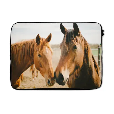 Produktbild von MuchoWow® Laptop Hülle 14 ZollPferd - Strand - Tiere Laptoptasche - Laptoptasche - Stoßsicher - Schutzhaube