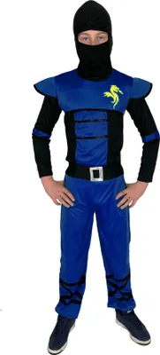 A child wearing a blue and black ninja costume.