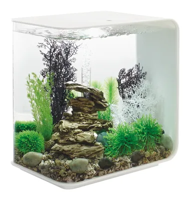 Obrázek produktu pro Akvárium biOrb FLOW 30 LED bílá