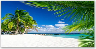 Imagen del producto de Cuadros decorativos para pared, lienzo, 120x60 cm, impresión artística, playa, palmeras, paisaje