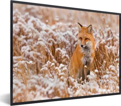 Produktbild von MuchoWow® MuchoWow® Gerahmtes Poster Fuchs - Pflanzen - Schnee 40x30 cm - Poster mit zchwarzem Bilderrahmen - Kunstposter - Wanddekorationen
