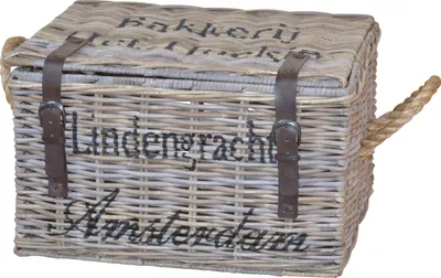 Produktbild von Kubu-Rattantruhe "Anni"