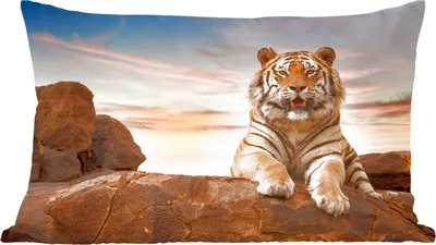 Produktbild von MuchoWow® Zierkissen Sofakissen Wohnzimmer Dekokissen 50x30 cm Tiger - Sonne - Felsen - Wohnzimmerdekoration - Polster mit Photo