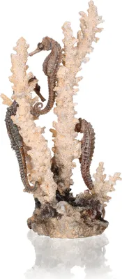 Obrázek produktu pro biOrb seahorses on coral natural M