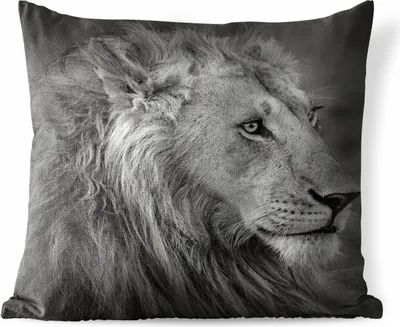 Produktbild von MuchoWow® Outdoor Kissen - Löwe - Tiere - Porträt - 40x40 cm - Wetterfest - Lounge Kissen - Kopfkissen - Interieur - Polster mit Bild