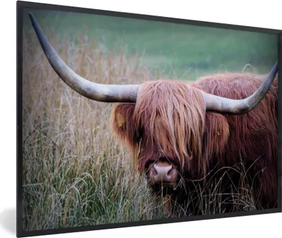 Produktbild von MuchoWow® Gerahmtes Poster Schottischer Highlander - Hörner - Gras 90x60 cm - Poster mit Schwarzem Bilderrahmen Wandposter Rahmen Foto Bilder - Fotorahmen - Foto-Plakat