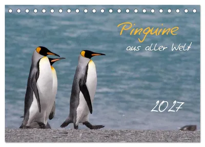 Produktbild von Pinguine aus aller Welt (Tischkalender 2027 DIN A5 quer), CALVENDO Monatskalender