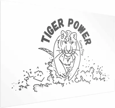 Produktbild von Posterpapier Poster - Tiger Power 60x40 cm Tiere g-A-0173-ao-a