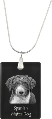 Image de Chien d'eau espagnol - Pendentif en cristal avec chien, collier en argent avec photo, pendentif personnalisé de la marque Art-Dog