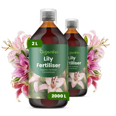 Obrázek produktu pro Lalia Tekuté Hnojivo 2x1 L – 3-4-3 NPK – Pro Lalie – Podporuje Rovnomerný Růst & Dlhotrvajúce Květy – Organifer