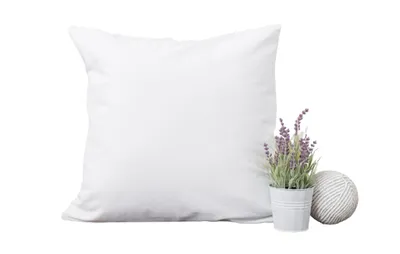 Image de Oreiller Coton percale Ferme - 60 x 60 - 3987