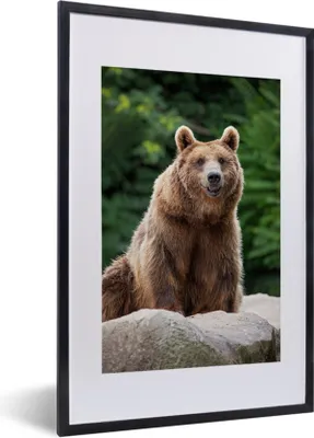 Produktbild von MuchoWow® MuchoWow® Gerahmtes Poster Wald - Bär - Steine 40x60 cm - Poster mit zchwarzem Bilderrahmen - Poster in Rahmen
