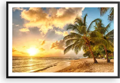 Produktbild von Gerahmtes Poster - Schwarzer Rahmen - Strand Meer Palme - 91,5x61 cm - Wand Bild - Wanddeko - Wandbilder - Kunstposter - Wandposter - Bilderrahmen - Bilder - Kunstdruck - Wandbild - P2BAA91x61-3606