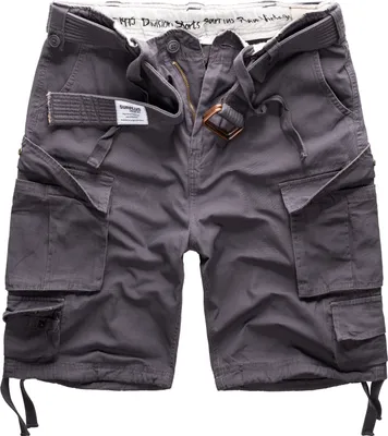 Produktbild von SURPLUS Division Shorts, anthrazit