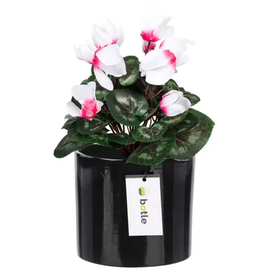 Produktbild von Blumentopf Blumenübertopf Gehäuse Farbe Schwarz Rund Ø 16,5cm H 16cm Glanz Oberfläche Modern Glamour