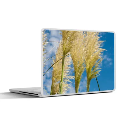 Produktbild von MuchoWow® Laptop Aufkleber Sticker Cover Pflanzen - Pampasgras - Luft 36.5x27.5 cm - Laptop-Sticker