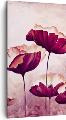 Produktbild von Bild auf Leinwand - Leinwandbild - Mohn Blume Wiese - 45x80cm - Wand Bild - Wanddeko - Wandbilder - Leinwanddruck - Bilder - Kunstdruck - Wanddekoration - Leinwand bilder - Wandkunst - PA45x80-3934