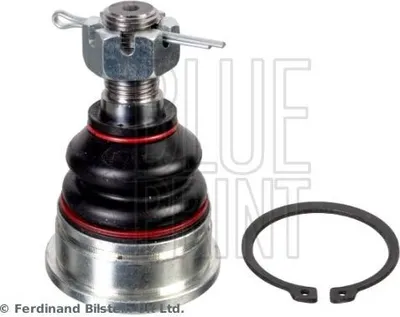 Produktbild von BLUE PRINT Traggelenk Vorne Links Unten Vorne Rechts für NISSAN PICK UP (D21) ADN18645