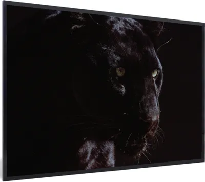 Produktbild von MuchoWow® MuchoWow® Gerahmtes Poster Panther - Tier - Schwarz 90x60 cm - Poster mit zchwarzem Bilderrahmen - Fotorahmen - Foto-Plakat